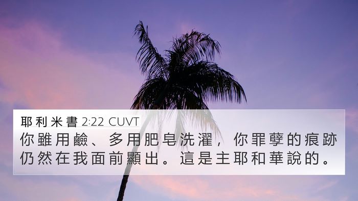 耶 利 米 書 2:22 CUVT 4K Wallpaper - 你 雖 用 鹼 、 多 用 肥 皂 洗 濯 ， - 4K Wallpaper Bible Verse