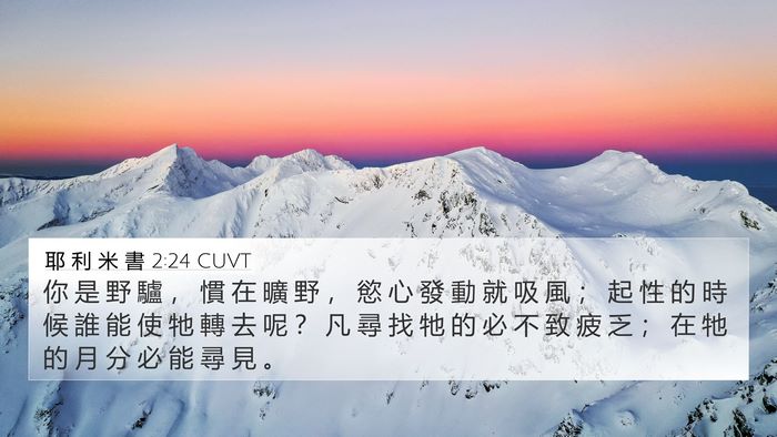 耶 利 米 書 2:24 CUVT 4K Wallpaper - 你 是 野 驢 ， 慣 在 曠 野 ， 慾 心 - 4K Wallpaper Bible Verse