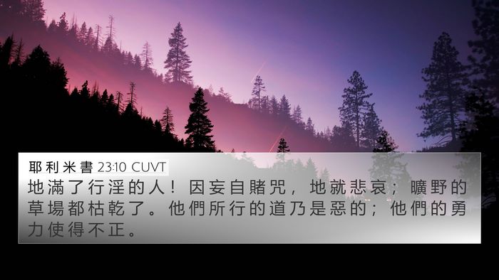 耶 利 米 書 23:10 CUVT 4K Wallpaper - 地 滿 了 行 淫 的 人 ！ 因 妄 自 賭 - 4K Wallpaper Bible Verse