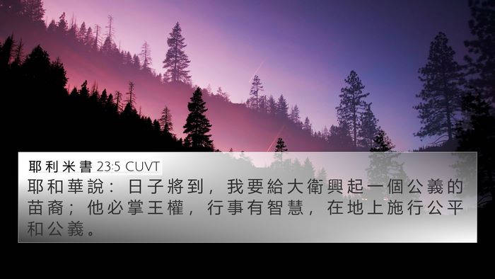 耶 利 米 書 23:5 CUVT Bible Verse Image