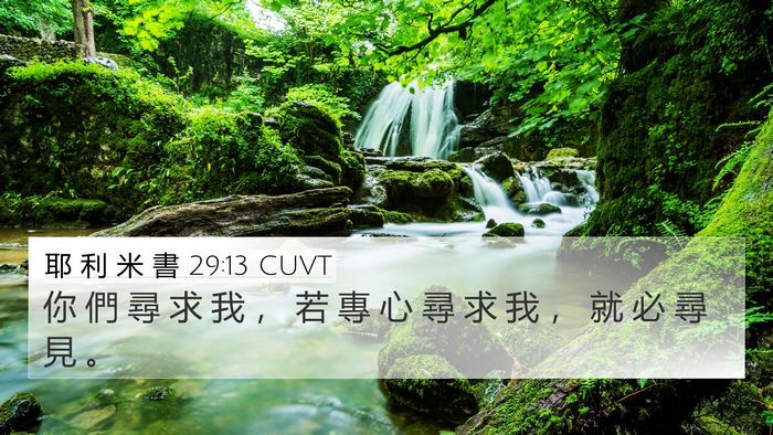 耶 利 米 書 29:13 CUVT 4K Wallpaper - 你 們 尋 求 我 ， 若 專 心 尋 求 我 - 4K Wallpaper Bible Verse