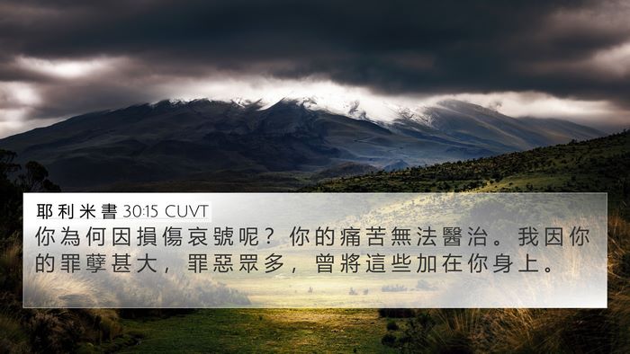 耶 利 米 書 30:15 CUVT Bible Verse Image