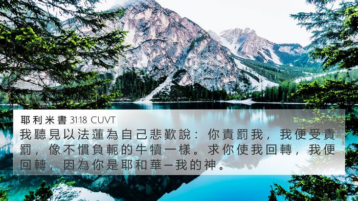 耶 利 米 書 31:18 CUVT Bible Verse Image