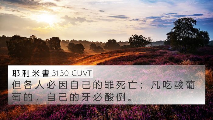 耶 利 米 書 31:30 CUVT Bible Verse Image