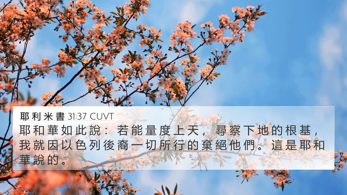 耶 利 米 書 31:37 CUVT Bible Verse Image