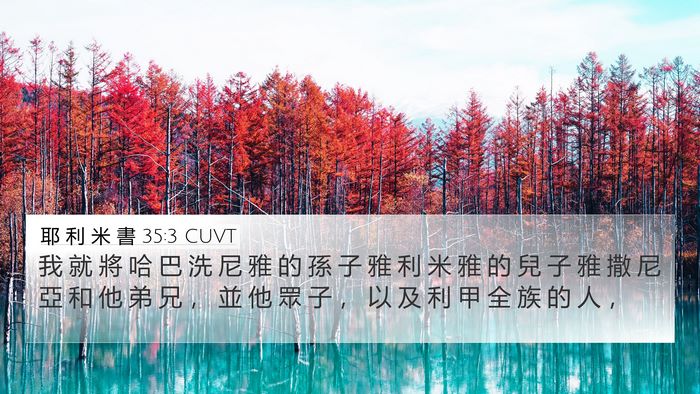 耶 利 米 書 35:3 CUVT 4K Wallpaper - 我 就 將 哈 巴 洗 尼 雅 的 孫 子 雅 - 4K Wallpaper Bible Verse