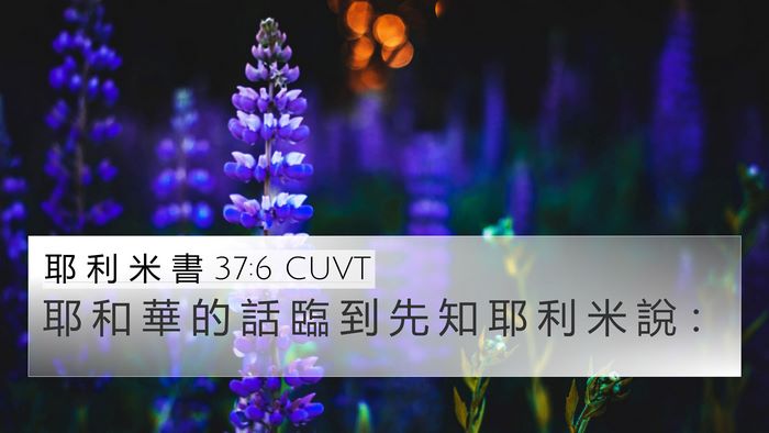 耶 利 米 書 37:6 CUVT Bible Verse Image