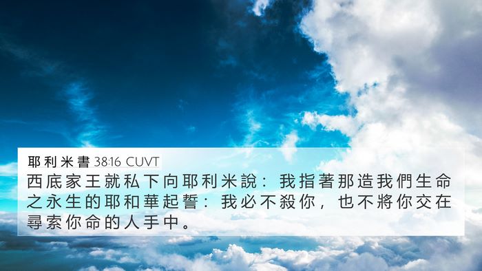 耶 利 米 書 38:16 CUVT Bible Verse Image