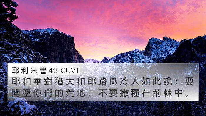 耶 利 米 書 4:3 CUVT Bible Verse Image