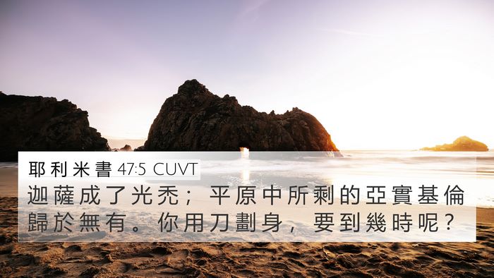 耶 利 米 書 47:5 CUVT 4K Wallpaper - 迦 薩 成 了 光 禿 ； 平 原 中 所 剩 - 4K Wallpaper Bible Verse