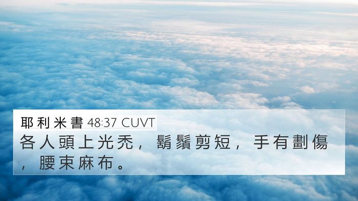 耶 利 米 書 48:37 CUVT Bible Verse Image