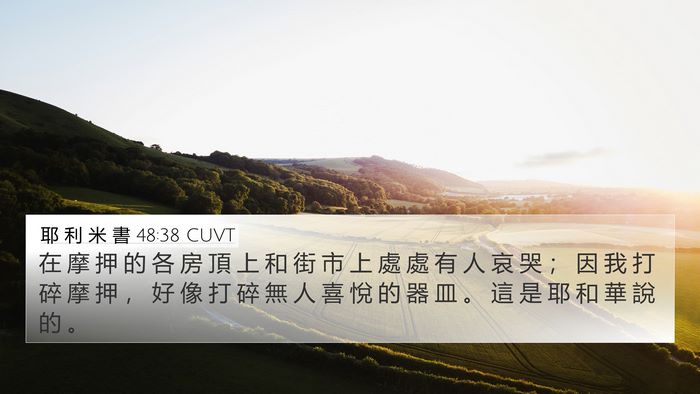 耶 利 米 書 48:38 CUVT Bible Verse Image