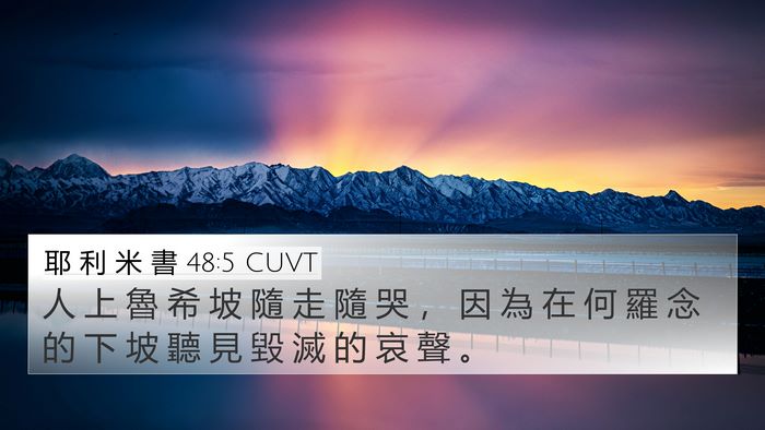 耶 利 米 書 48:5 CUVT Bible Verse Image