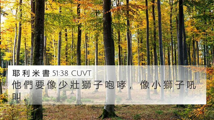 耶 利 米 書 51:38 CUVT Bible Verse Image