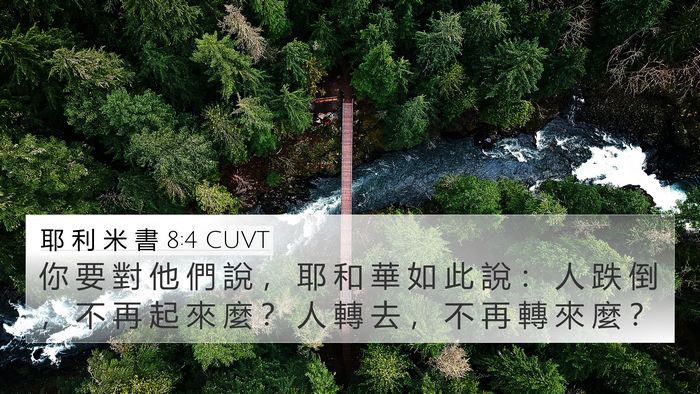 耶 利 米 書 8:4 CUVT Bible Verse Image