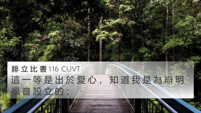 腓 立 比 書 1:16 CUVT Bible Verse Image