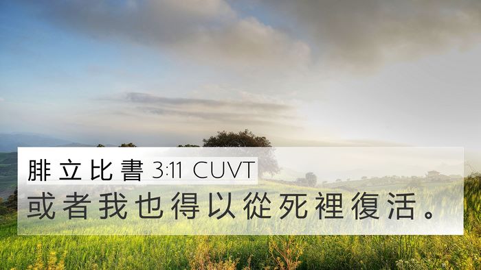 腓 立 比 書 3:11 CUVT Bible Verse Image