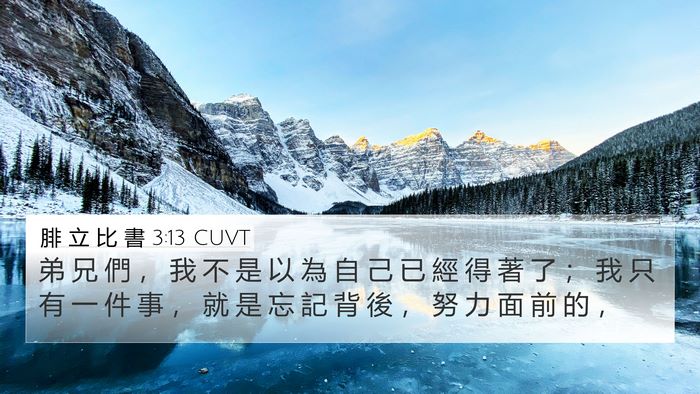 腓 立 比 書 3:13 CUVT 4K Wallpaper - 弟 兄 們 ， 我 不 是 以 為 自 己 已 - 4K Wallpaper Bible Verse