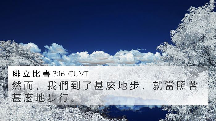 腓 立 比 書 3:16 CUVT 4K Wallpaper - 然 而 ， 我 們 到 了 甚 麼 地 步 ， - 4K Wallpaper Bible Verse