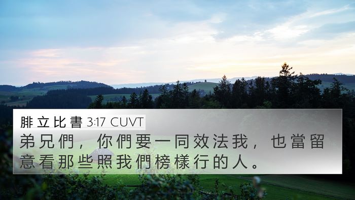 腓 立 比 書 3:17 CUVT Bible Verse Image