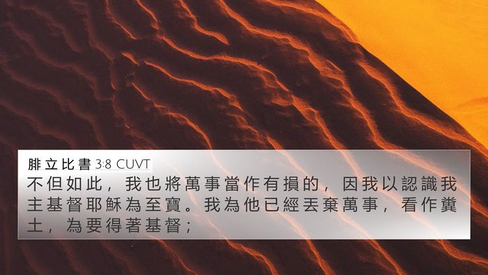 腓 立 比 書 3:8 CUVT Bible Verse Image