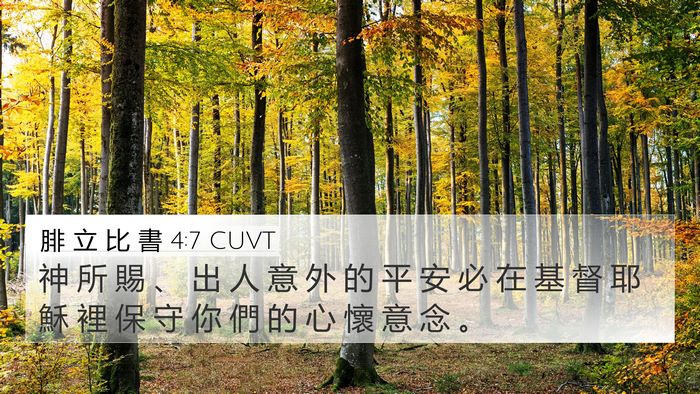 腓 立 比 書 4:7 CUVT Bible Verse Image