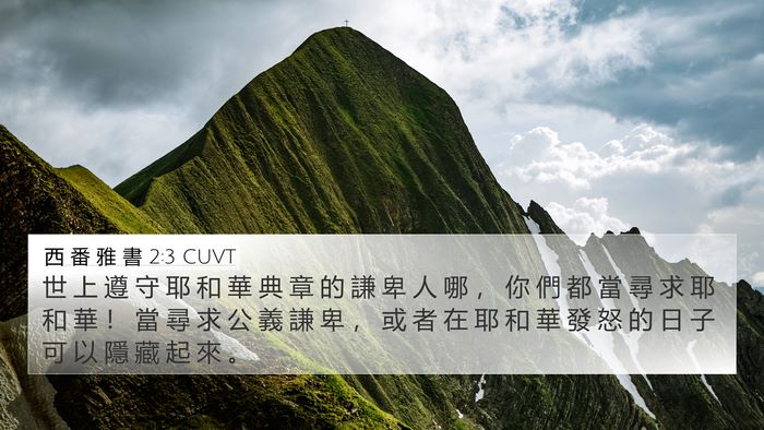 西 番 雅 書 2:3 CUVT Bible Verse Image