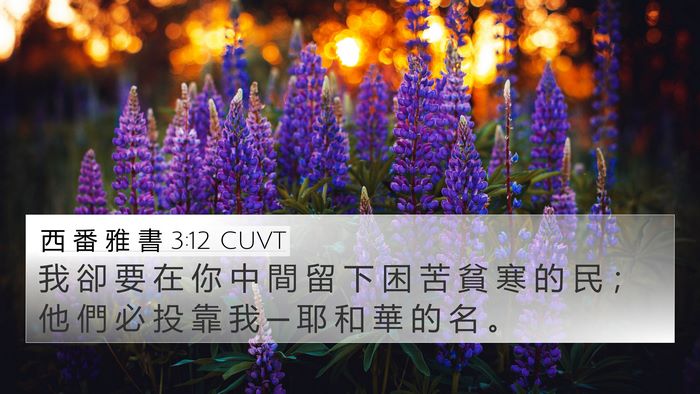 西 番 雅 書 3:12 CUVT Bible Verse Image