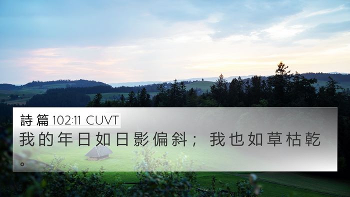 詩 篇 102:11 CUVT Bible Verse Image
