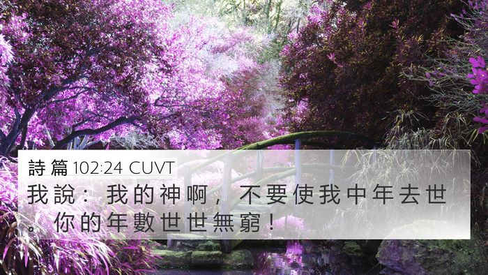 詩 篇 102:24 CUVT Bible Verse Image