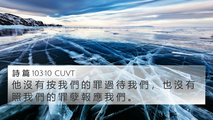 詩 篇 103:10 CUVT Bible Verse Image