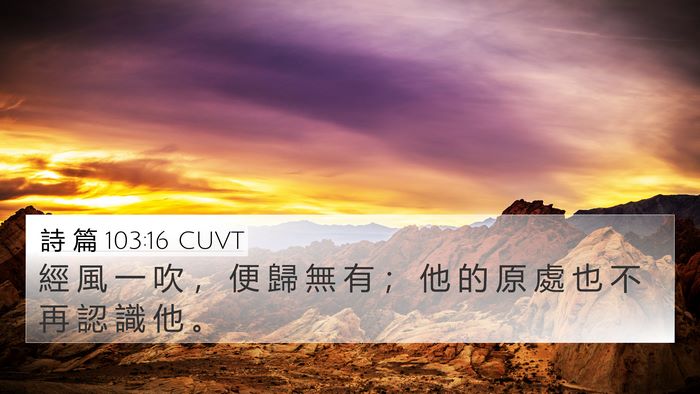 詩 篇 103:16 CUVT Bible Verse Image