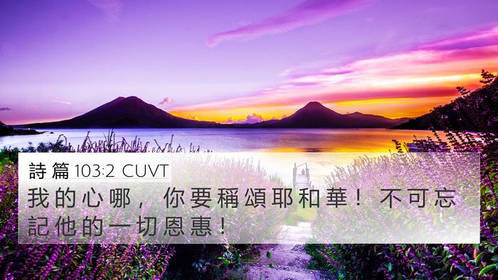 詩 篇 103:2 CUVT Bible Verse Image