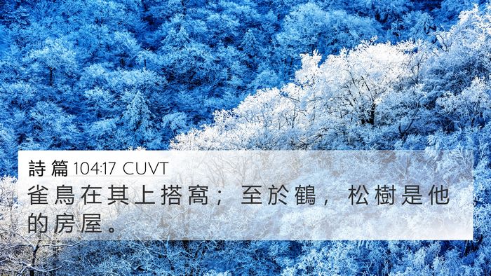 詩 篇 104:17 CUVT Bible Verse Image
