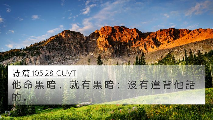 詩 篇 105:28 CUVT Bible Verse Image