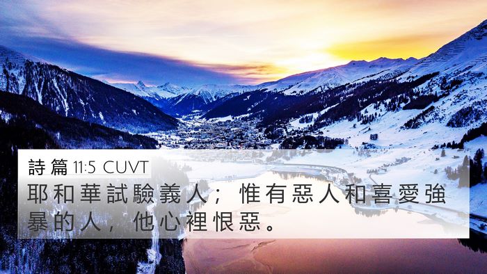 詩 篇 11:5 CUVT Bible Verse Image