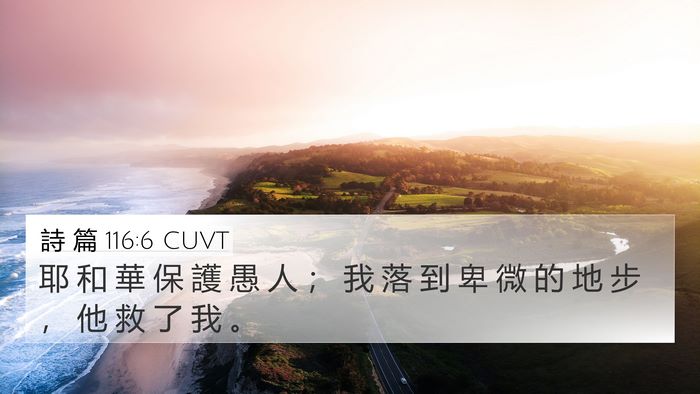 詩 篇 116:6 CUVT Bible Verse Image