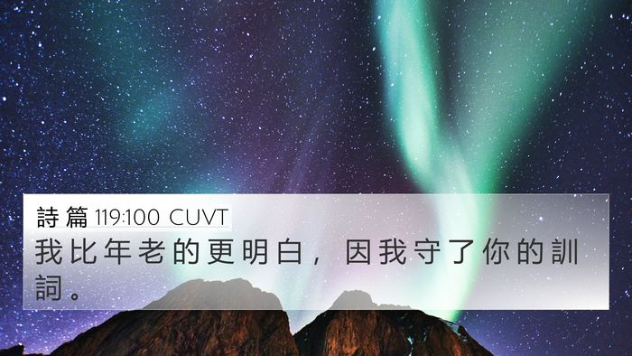 詩 篇 119:100 CUVT Bible Verse Image