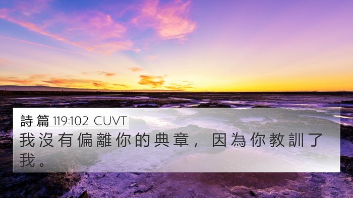 詩 篇 119:102 CUVT Bible Verse Image
