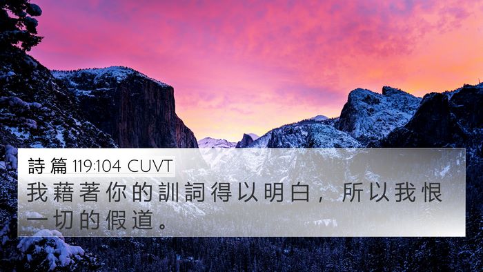 詩 篇 119:104 CUVT Bible Verse Image