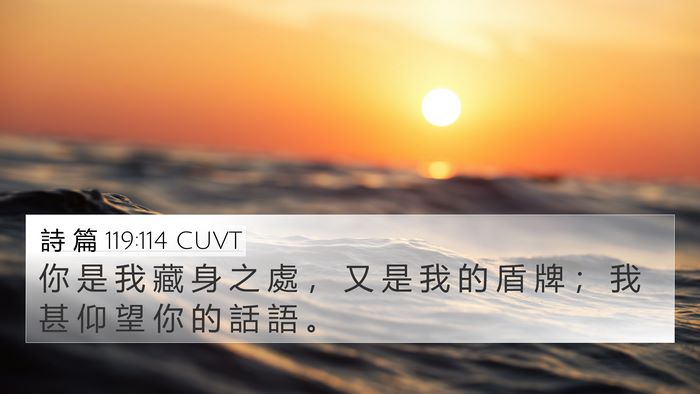 詩 篇 119:114 CUVT Bible Verse Image