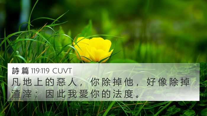詩 篇 119:119 CUVT Bible Verse Image