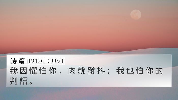 詩 篇 119:120 CUVT Bible Verse Image