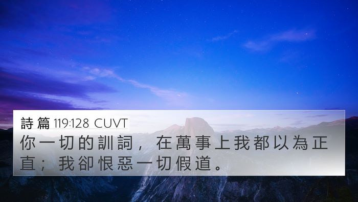 詩 篇 119:128 CUVT Bible Verse Image