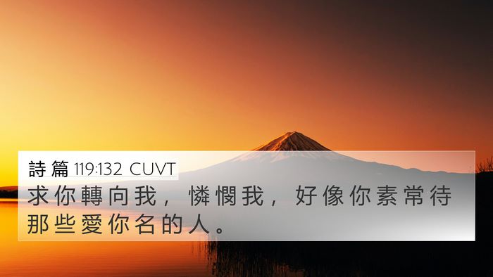 詩 篇 119:132 CUVT Bible Verse Image