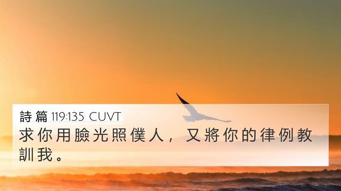 詩 篇 119:135 CUVT Bible Verse Image