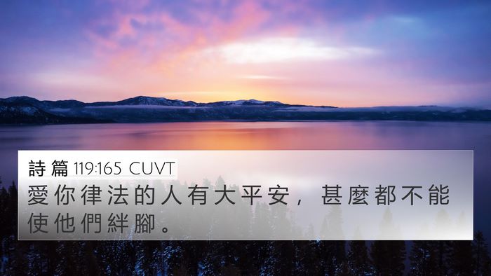 詩 篇 119:165 CUVT Bible Verse Image
