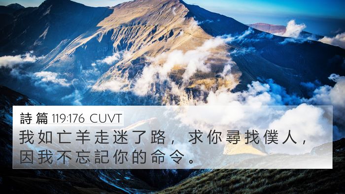 詩 篇 119:176 CUVT Bible Verse Image
