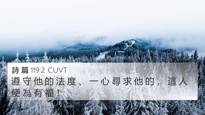 詩 篇 119:2 CUVT Bible Verse Image