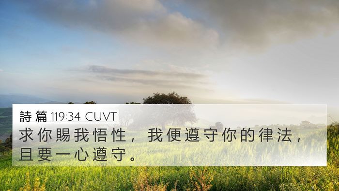 詩 篇 119:34 CUVT Bible Verse Image